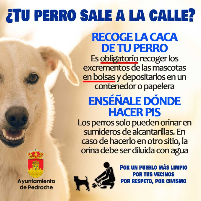 Ayuntamiento de Pedrezuela - 🐕ORINES DE PERROS Campaña de mascotas Desde  el Ayuntamiento de Pedrezuela os pedimos a los propietarios de mascotas que  evitéis que vuestros perros⚠️orinen en las esquinas de los