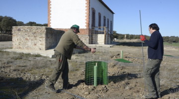 trabajadores