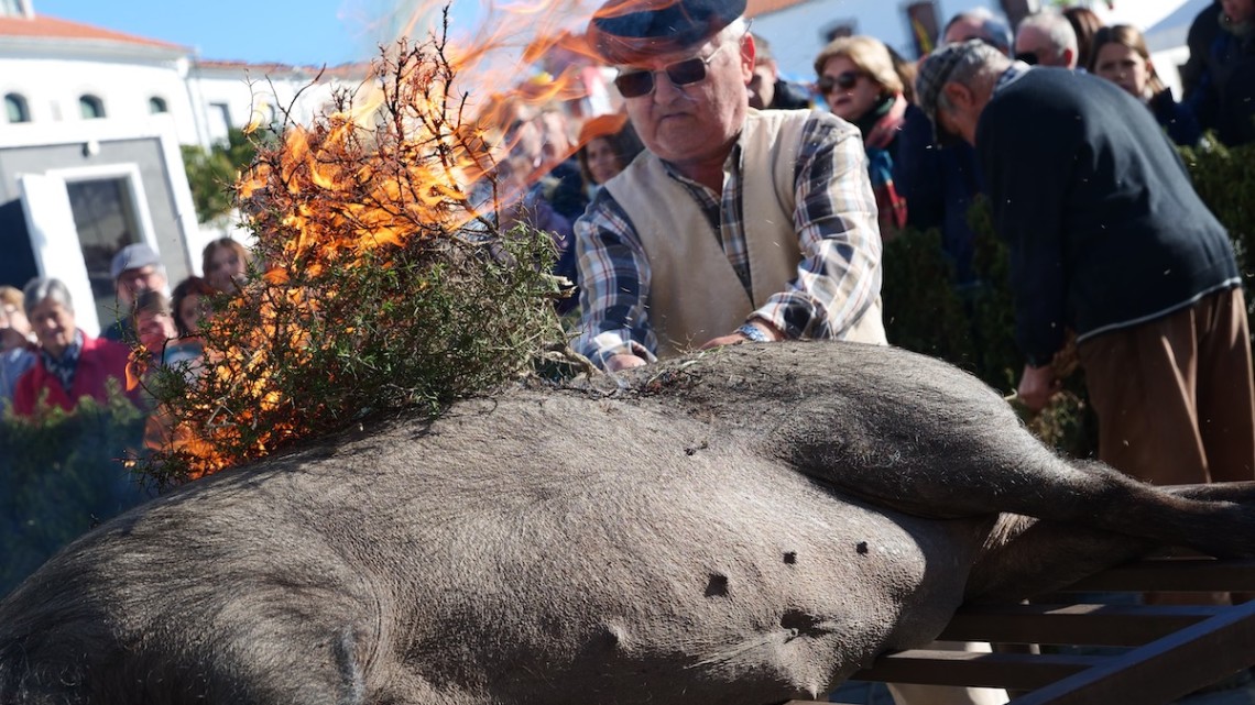 fiesta_matanza_alcaracejos13