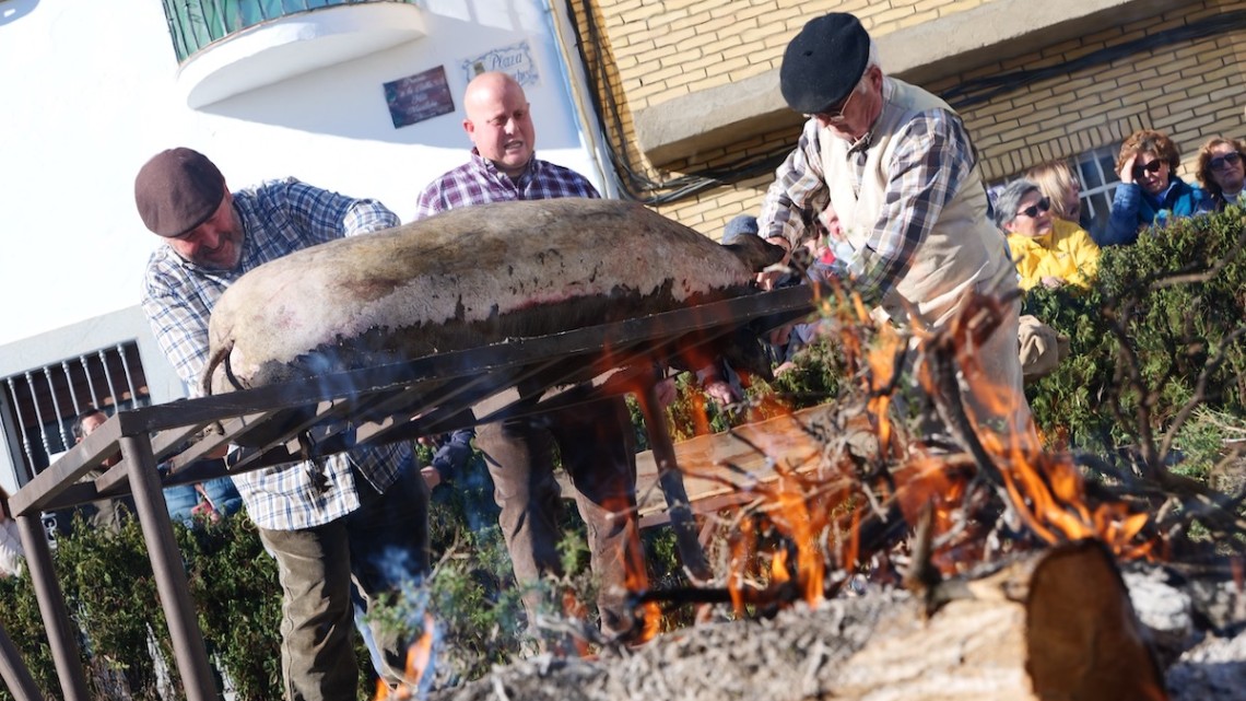 fiesta_matanza_alcaracejos8