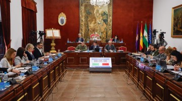 Pleno de la Diputación de Córdoba